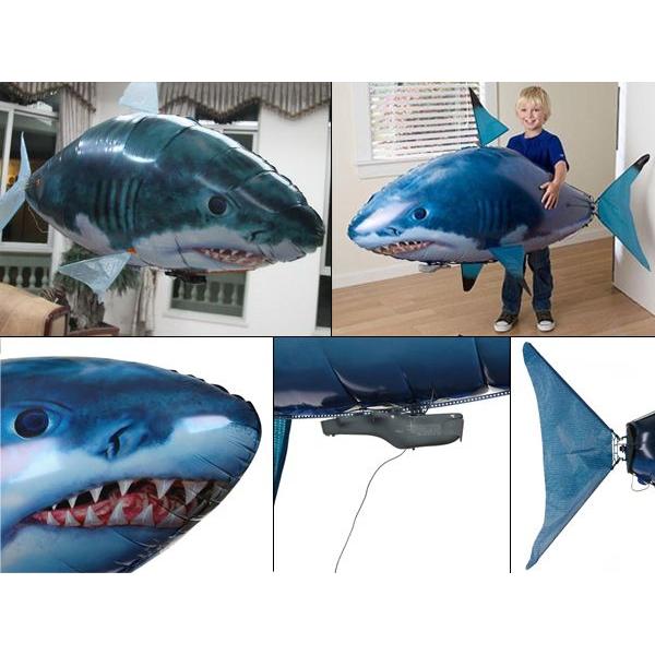 What is the curious movement of the shark radio-controlled
