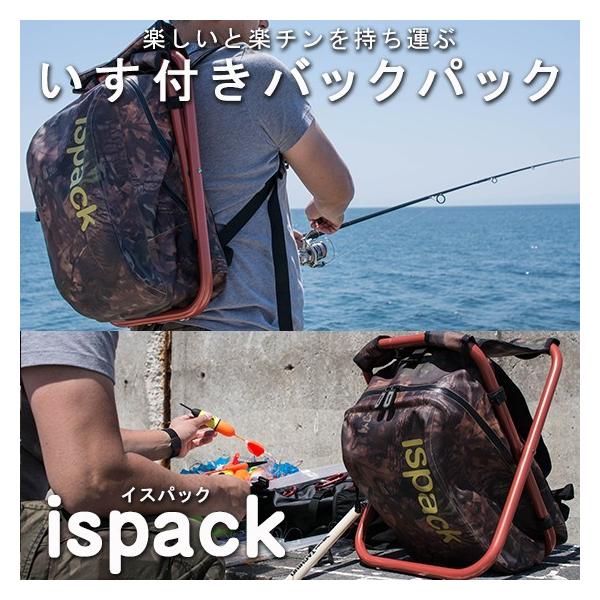 イスパック ispack WP Adventure アドベンチャー カモフラージュ 迷彩 ...