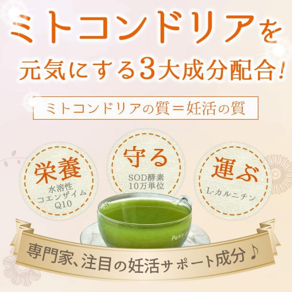 ミトコンドリア サプリ 葉酸サプリ大人の青汁 2袋 40本 ビタミン