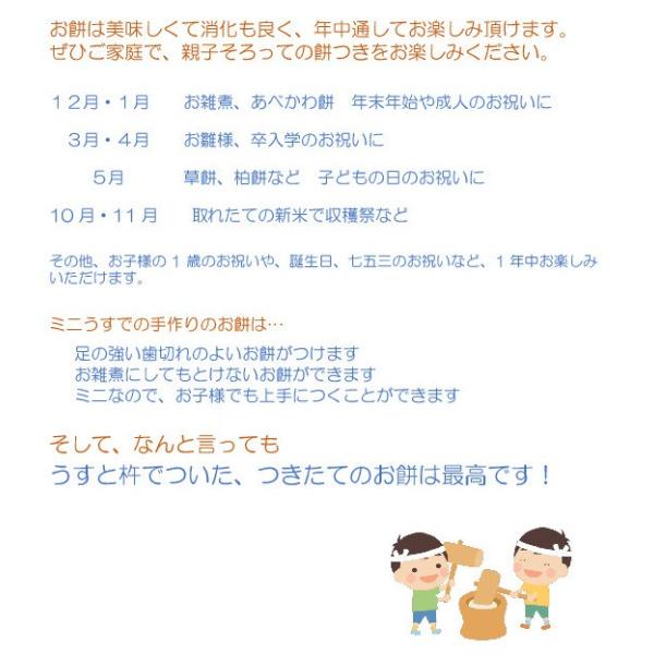 餅つき セット 臼 杵 ミニ 石臼 木台 家族だんらんもちつきセット1升用