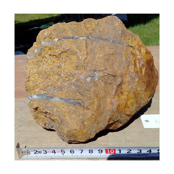 イエロージャスパー　ジャスパー　瑪瑙　メノウ　黄石　セット12