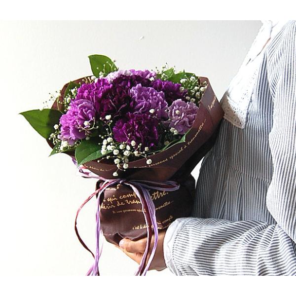 青いカーネーション カーネーション「ブルーミックス」 | tokyo_shokubutsu_zufu