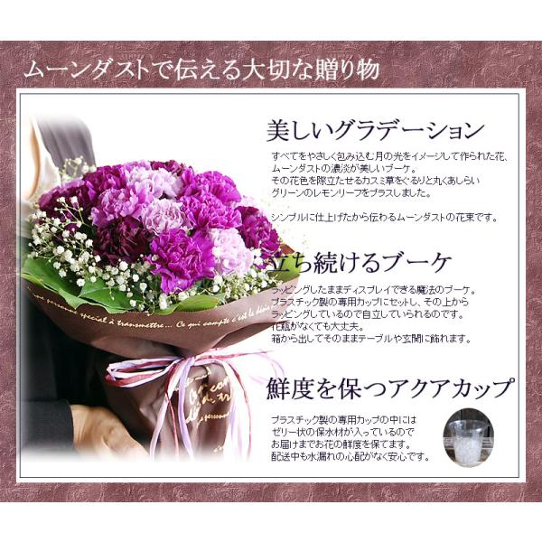 ムーンダストの花束（M） 24本 母の日 ギフト 花 母の日