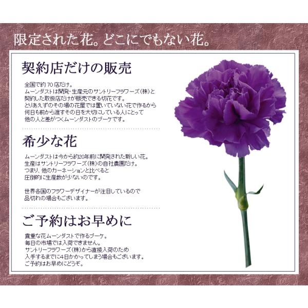 青いカーネーション 生花】カーネーション ティントロイヤルブルー【青/60cm