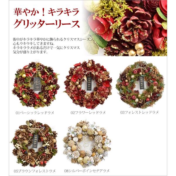 クリスマスリース/ドライフラワー 2024年新作 クリスマスリース Lサイズ 直径約33cm 選べる8種類