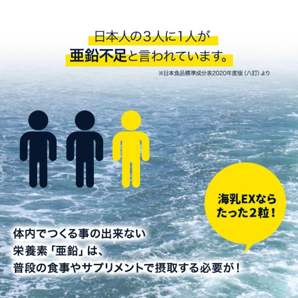 海乳EX 亜鉛 サプリ アルギニン 男性 実績 20年 【約1ヶ月分】 牡蠣 エキス 二日酔い 滋養強壮 女性 /【Buyee】