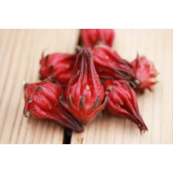 ローゼルハイビスカス 生 果実｜ローゼル 1kg｜無農薬 沖縄産 宮古島