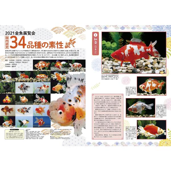 きんぎょ生活 No.7 奥深く楽しい金魚の世界 (年1回発売) /【Buyee