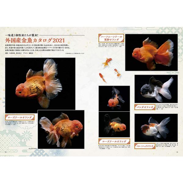 きんぎょページ きんぎょ-kingyo- 新装版 | 高岡 一弥, 久留 幸子 |本 | 通販