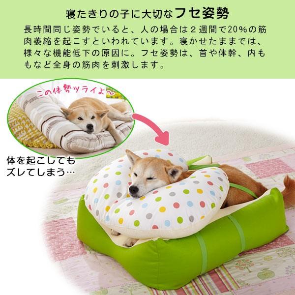 老犬 シニア 王様のらくすや 大型犬用 介護用品 シニア 老齢犬 快眠