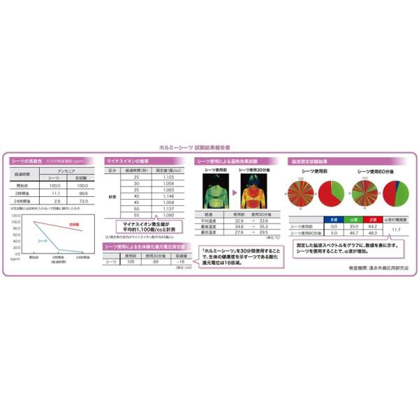 HORMEE SHEET Reb5(ホルミーシーツ) ReB5 Hormee Sheets ホルミーシーツ(専用シーツケース入り) /【Buyee