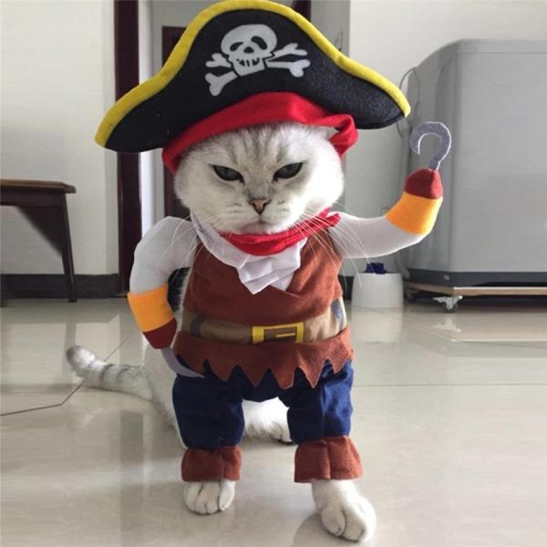 猫服コスプレネコちゃん大変身！海賊変身キット/【Buyee】