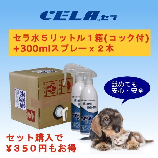 bodegonesdelsur.com - 次亜塩素酸水 セラ水 CELA水 20リットル１箱