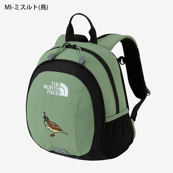 THE NORTH FACE リュック THE NORTH FACE デイバック リュック 国内未発売 FACE(ザ