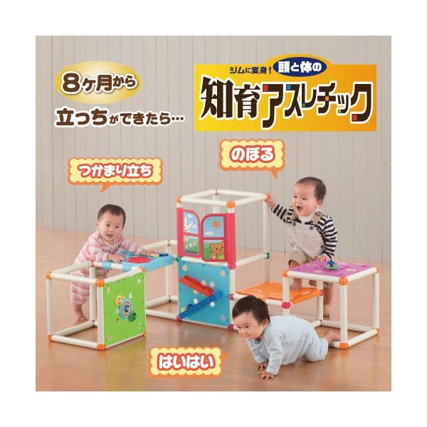 正規品 ジャングルジム ジムに変身 頭と体の知育アスレチック 大型遊具