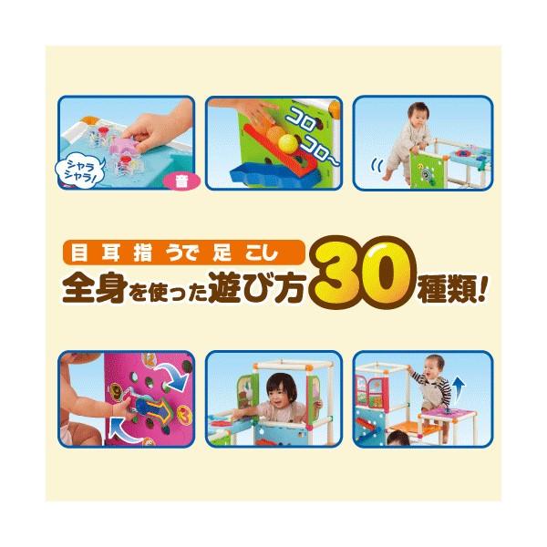 正規品 ジャングルジム ジムに変身 頭と体の知育アスレチック 大型遊具