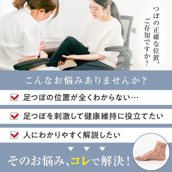 足つぼ 模型 グッズ 図解 足裏 反射区 マッサージ あしつぼ 足の