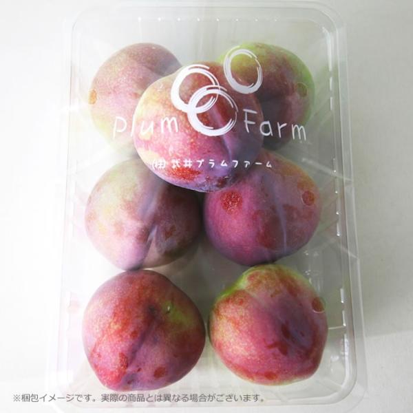 山梨県産 すもも 2L 4キロ プラム Plum すもも 太陽 たいよう プラム 約4kg 500g×8パック 山梨産|李