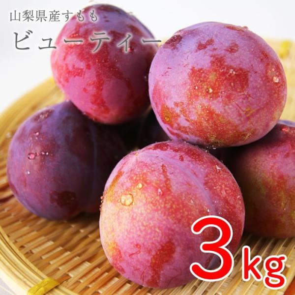 プラム すもも 3KG 山梨県産 すもも （プラム） ビューティー 3kg箱 36〜42玉前後