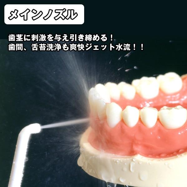 送料無料リコーエレメックス デントレックス(口腔洗浄器,RICOH,DENTREX