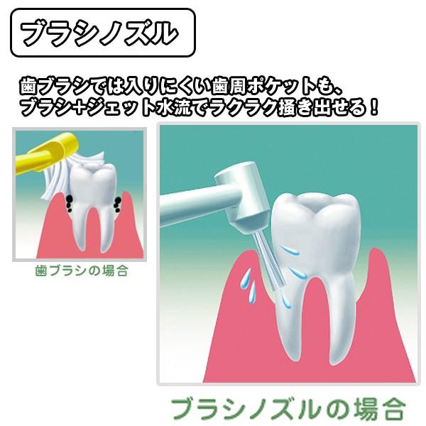 今季イチオリーズ リコーエレメックス デントレックス dentrex 口腔