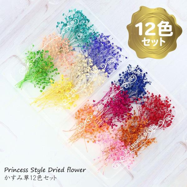 かすみ草 ドライフラワー 小分け レジン アクセサリーパーツ ハー