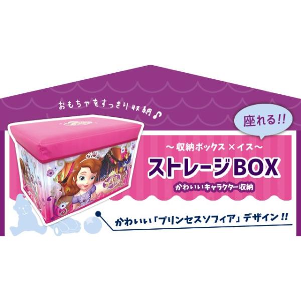 貴重品　ディズニー　プリンセスBOX 2012 ちいさなプリンセス ソフィア Amazon.co.jp: ちいさなプリンセス ソフィア プリンセス