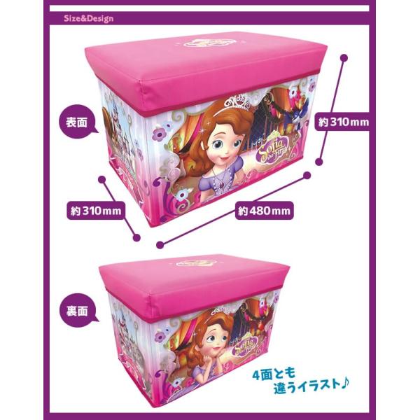 貴重品　ディズニー　プリンセスBOX 2012 ちいさなプリンセス ソフィア ちいさなプリンセス ソフィア プリンセス・ボックス」予告編