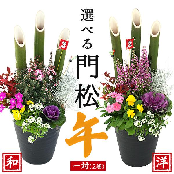 2個セット（一対）選べる門松『 お正月寄せ植え 』 正月飾り