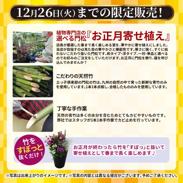 門松　ぼく　一対 2個セット（一対）選べる門松『 お正月寄せ植え 』 正月飾り
