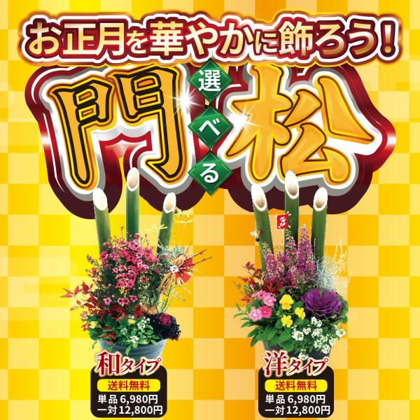 正月飾り 門松 送料無料『 お正月寄せ植え 』 単品1個 門松アレンジ