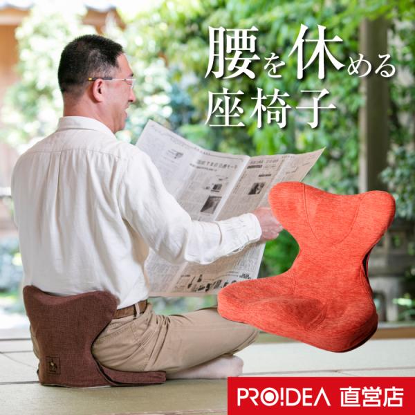 Amazon.co.jp: ドリーム(Dream) 馬具座椅子 DR2929 : ホーム＆キッチン