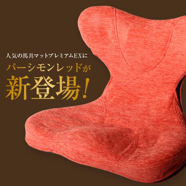 PROIDEA プロイデア 馬具マットプレミアムEX テレワーク 座椅子 