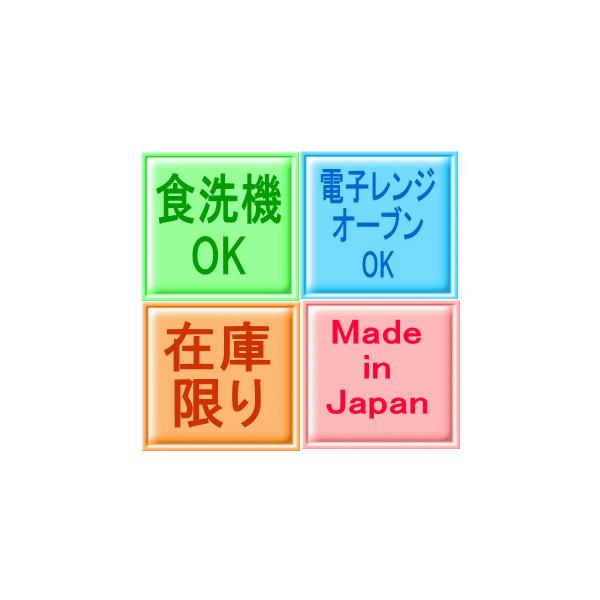 24cm 長四角 カレー皿 レンジ可 食洗機対応 美濃焼 日本製 角カレー モダン 長方形 北欧風 深皿 洋食器 くぼみ モダン 可愛い 北欧風  /【Buyee】