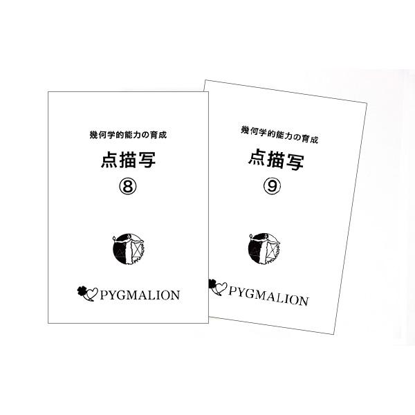 匿名配送】ピグマリオン 幾何学的能力の育成 点描写(Ⅱ)