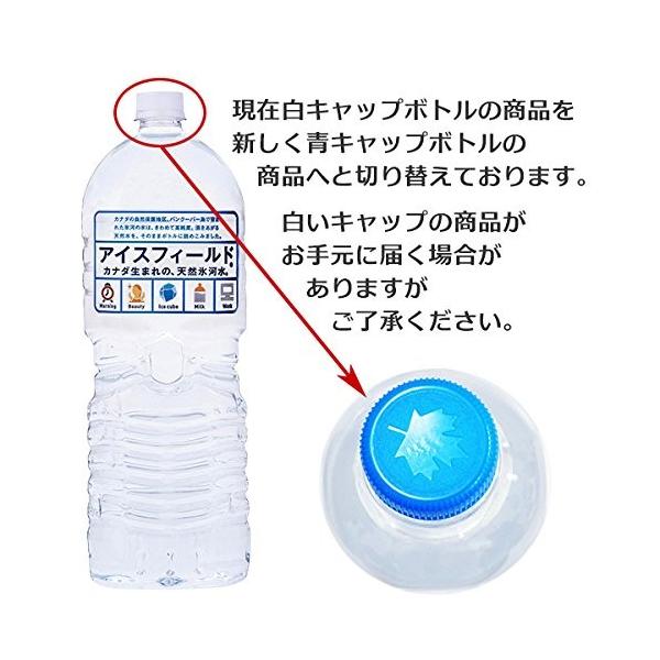 2箱 アイスフィールド カナダ天然氷河水 ミネラルウォーター 2L