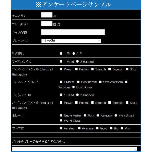 硬式テニスラケット ボスワース Bosworth Bosworth Tour 96