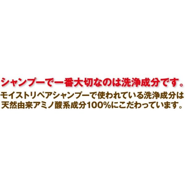 アミノ酸系シャンプー ノンシリコン NHE モイストリペアシャンプー