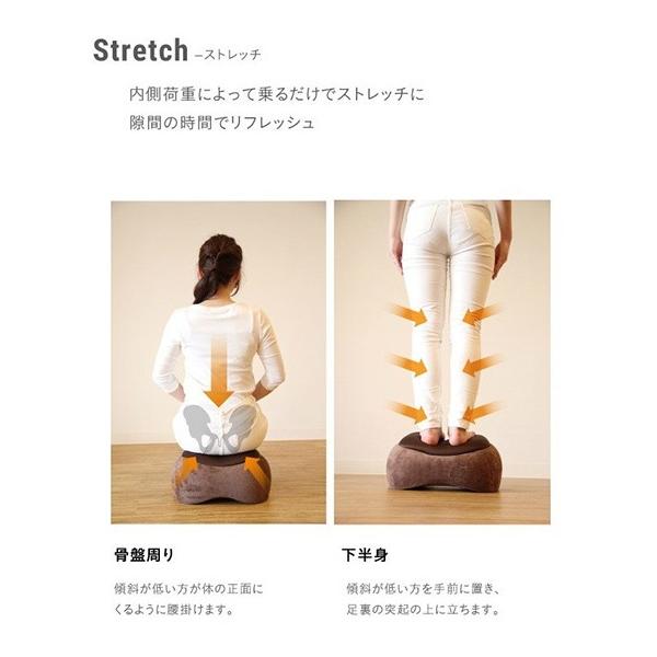 スリムルームステッパー （踏み台昇降×ストレッチ骨盤クッション） スリムルームステッパー （踏み台昇降×ストレッチ骨盤クッション