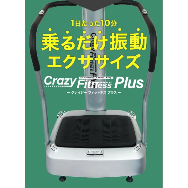 ブルブル振動マシン 体幹トレーニング 高齢者 安心 手すり
