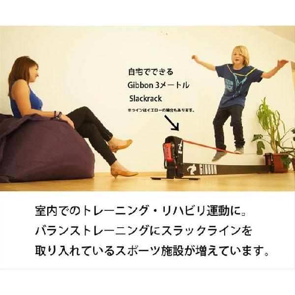 国内正規品 スラックラック300 3mX30cm 送料無料 ギボン スラック 