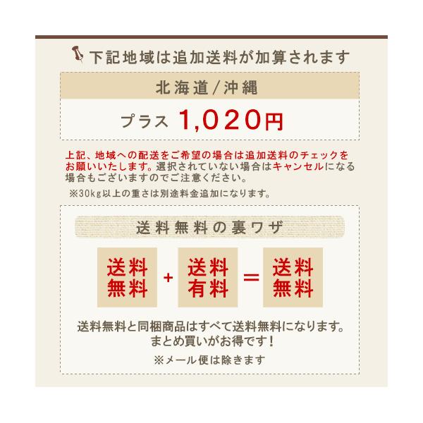 コタ アイケア シャンプー 5L ノズル付|cota i care コタk シャンプーk コタy シャンプーy 種類が選べる 詰替用 業務用サイズ  大容量 美容院専売 /【Buyee】