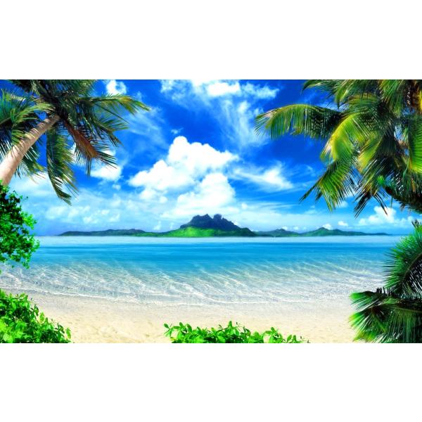 ハワイの海岸（ヤシ無し）　アクリル画　原画 Amazon.co.jp: 海の絵 アートパネル 海 ヤシの木 絵画 青空 白雲