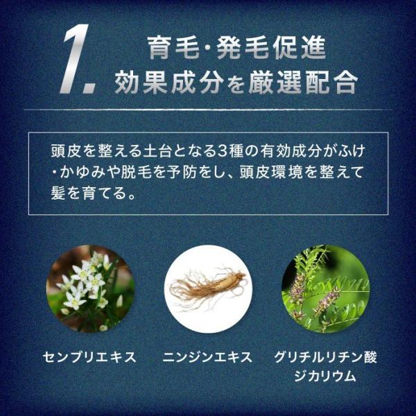 育毛剤REDEN リデンスカルプケアリデンシル薬用育毛剤医薬部外品育毛