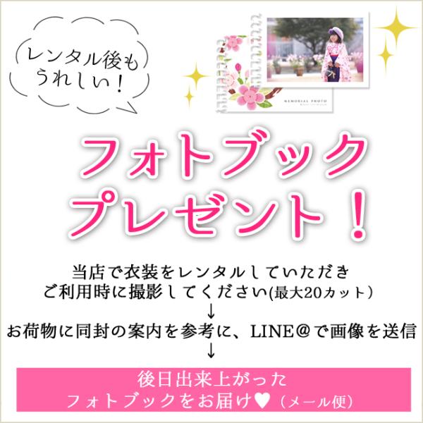 訪問着レンタル 結婚式 卒業式 入学式 七五三 母親 hw1132 訪問