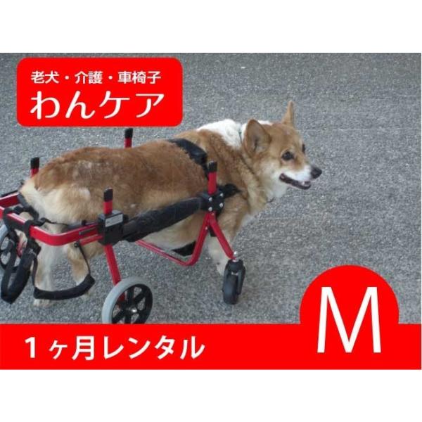 1ヶ月レンタル延長 ４輪の犬の車椅子 K9カート犬用車椅子サポート M