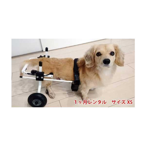 1ヶ月レンタル K9カート犬用車椅子後脚サポート XS・猫(5kg未満 ...