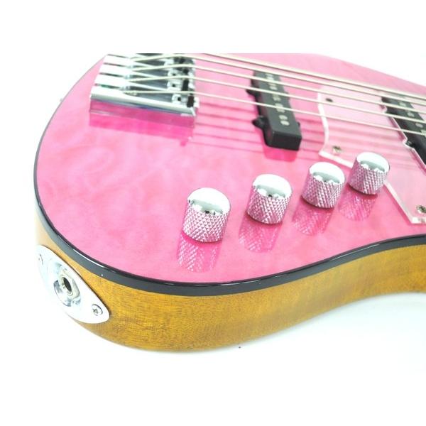 中古】 Bacchus GLOBAL Series HWL5-CUSTOM24 5弦 ベース ギター 楽器