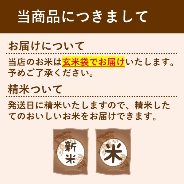 米 お米 30kg 北海道産 ゆめぴりか 令和4年 玄米 白米(27kg)送料無料