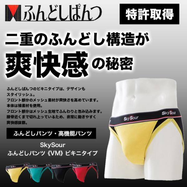 ふんどしパンツ　S〜L M3 SkySour ふんどしパンツ(VM) ビキニタイプ 送料無料 パンツ